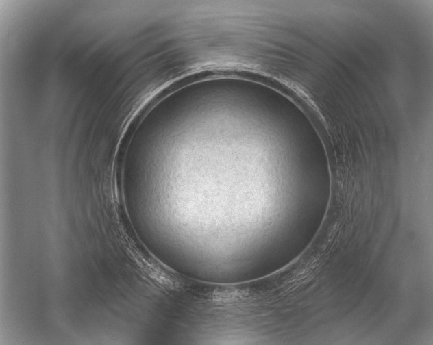 X0000059220887200510171420