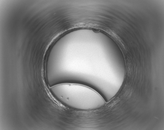 X0000059220896200510171420