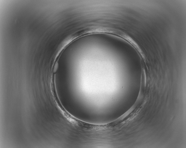 X0000059220909200510171420