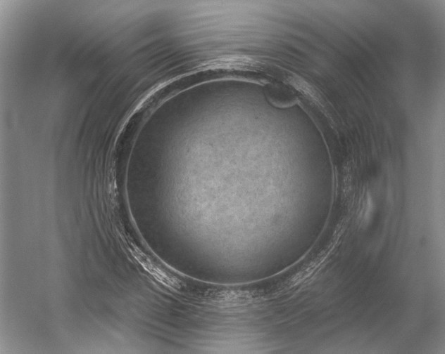 X0000059220923200510171419