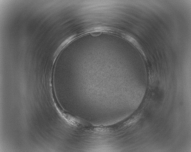 X0000059220954200510171420