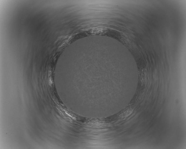 X0000059220962200510171419