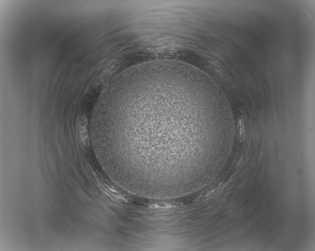 X0000059220963200510171419