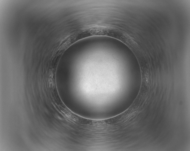 X0000059220964200510171419