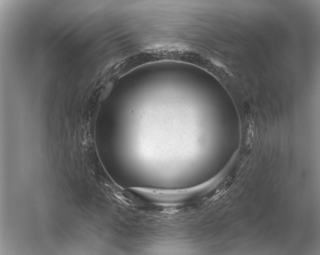 X0000059220965200510171419