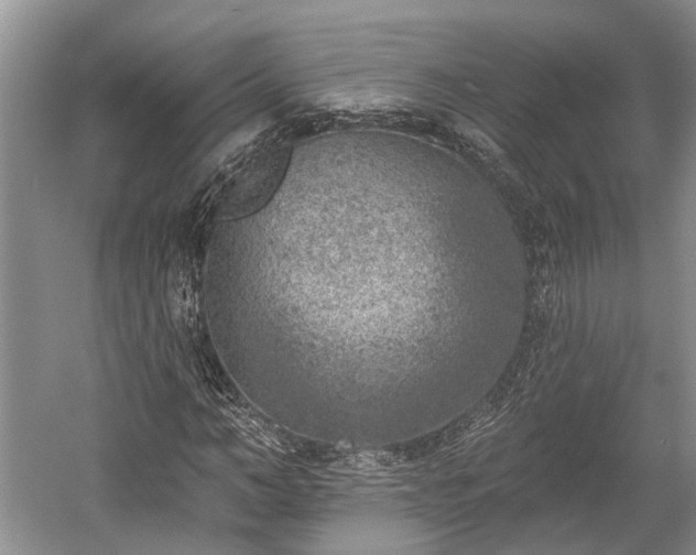 X0000059220966200510171419