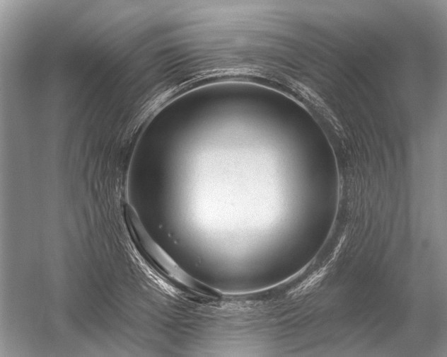 X0000059220985200510171419