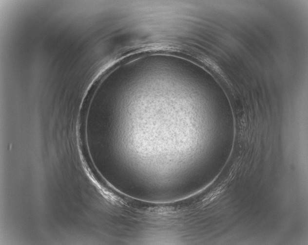 X0000059220991200510171419