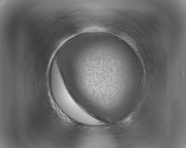 X0000059221008200510171418