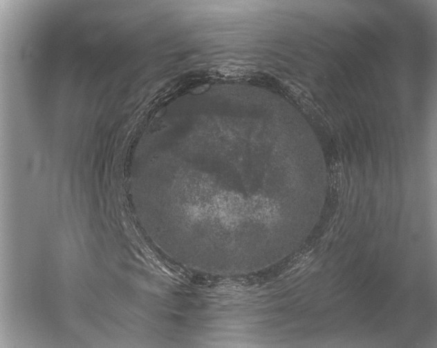 X0000059221009200510171417