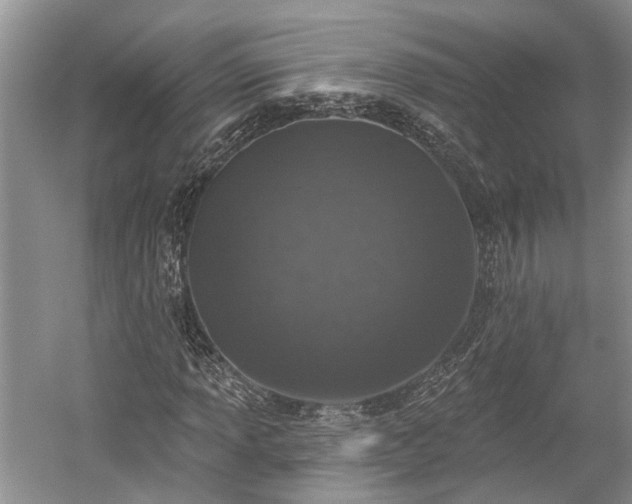 X0000059221013200510171418
