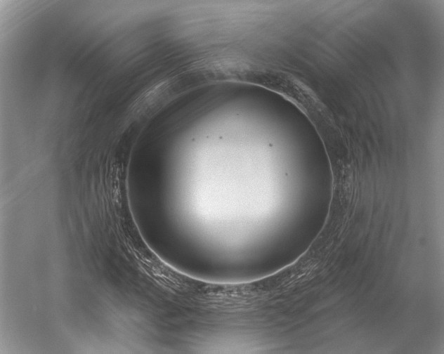 X0000059221016200510171418