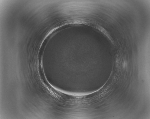 X0000059221024200510171418