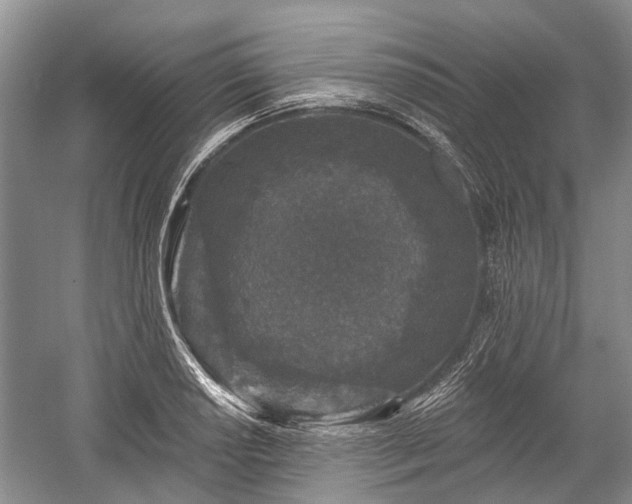 X0000059221034200510171418