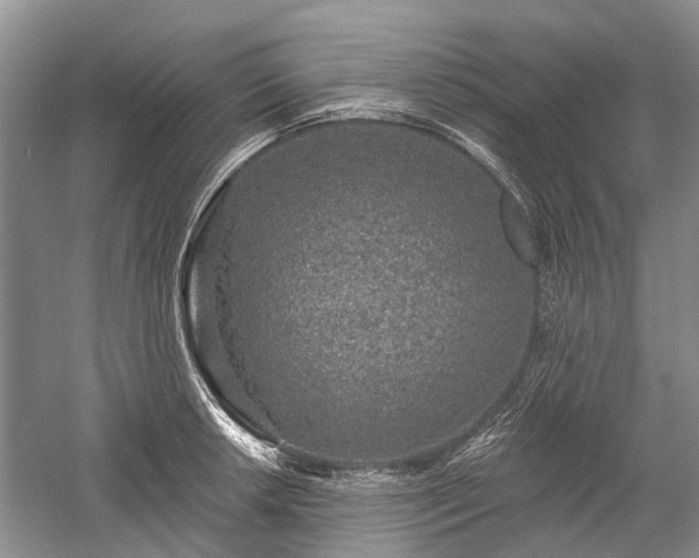 X0000059221042200510171418