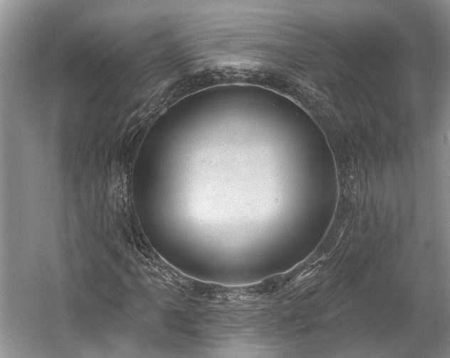 X0000059221061200510171417