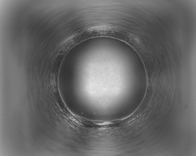 X0000059221062200510171417