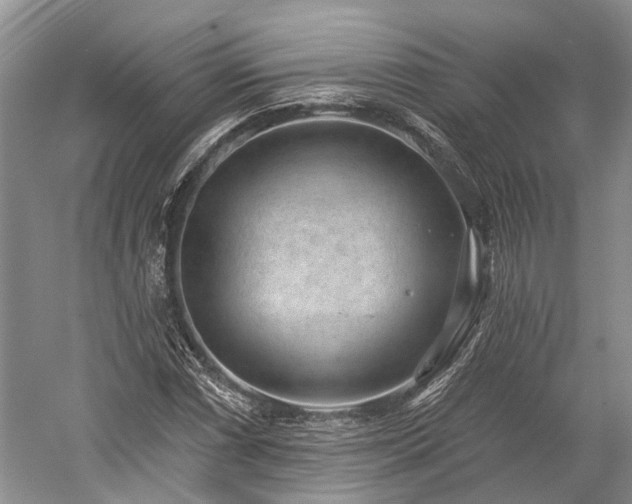 X0000059221066200510171417