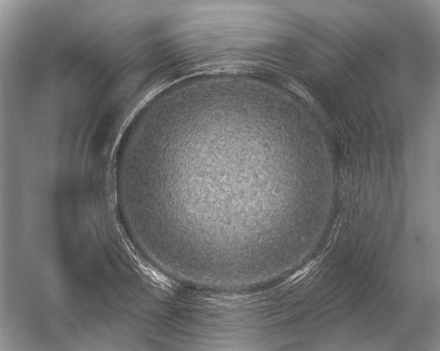 X0000059221075200510171417
