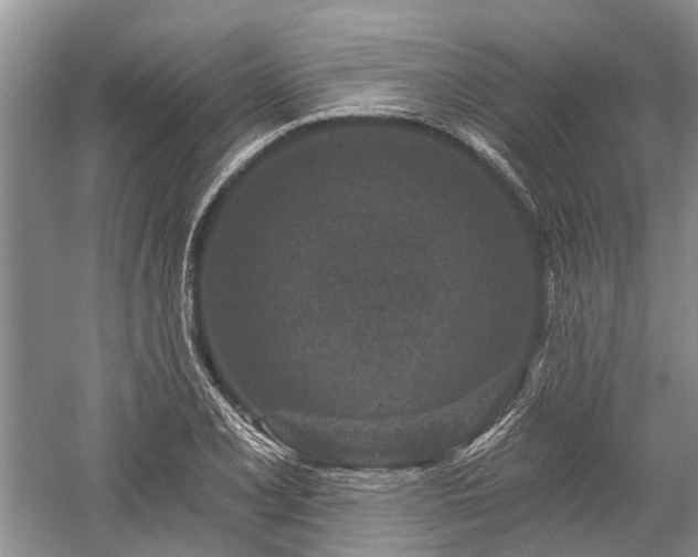X0000059221077200510171417