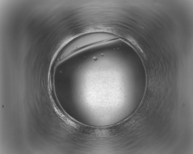 X0000059221080200510171417