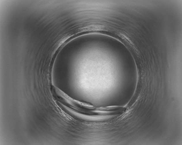 X0000059221081200510171417