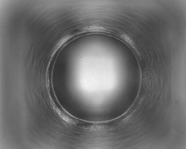X0000059221082200510171417