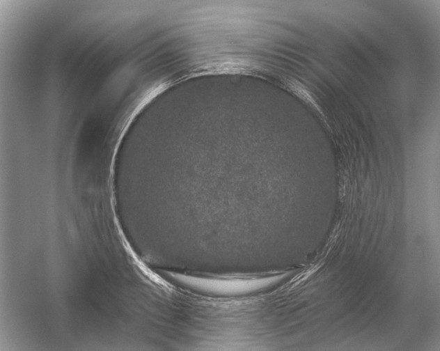 X0000059221087200510171417