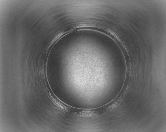 X0000059221137200510171416