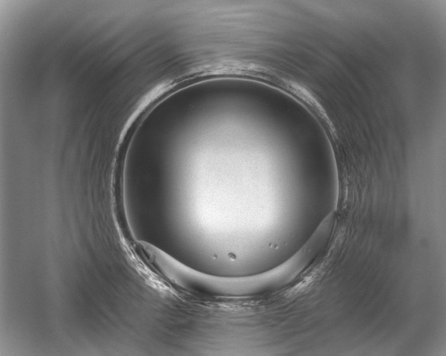 X0000059221138200510171416