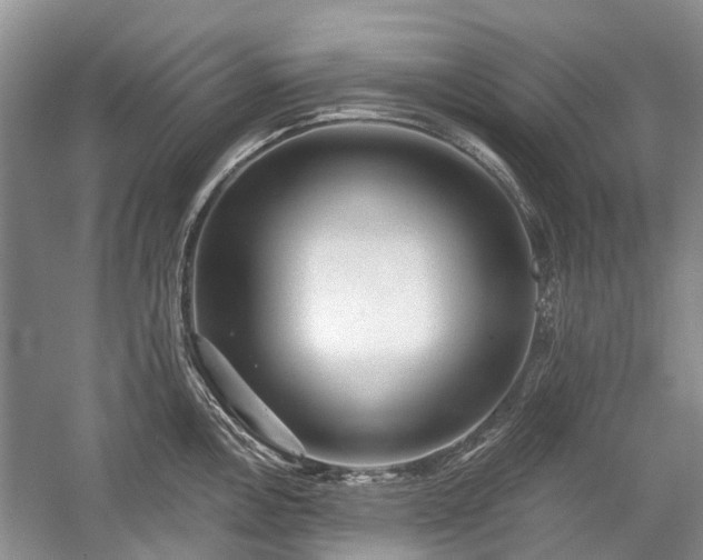 X0000059221146200510171416