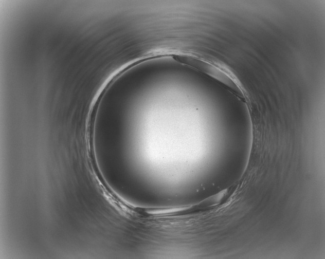 X0000059221148200510171417