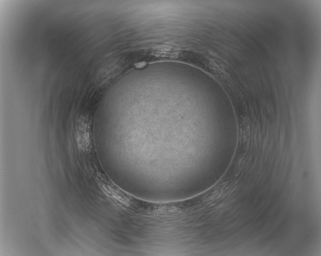 X0000059221154200510171416