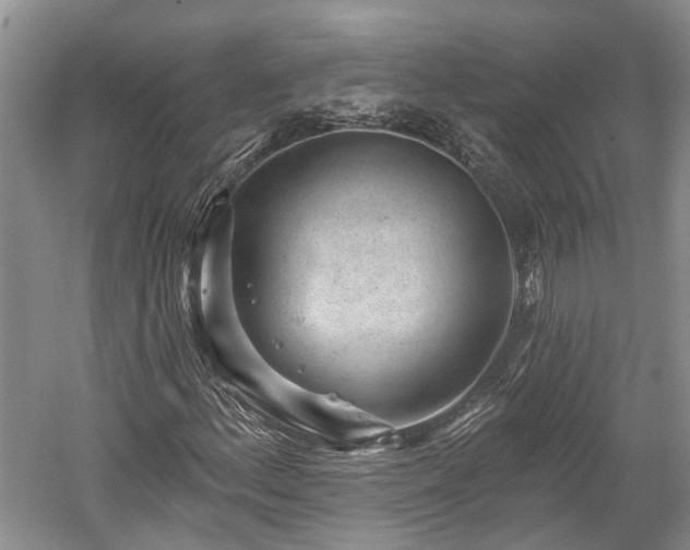 X0000059221156200510171416