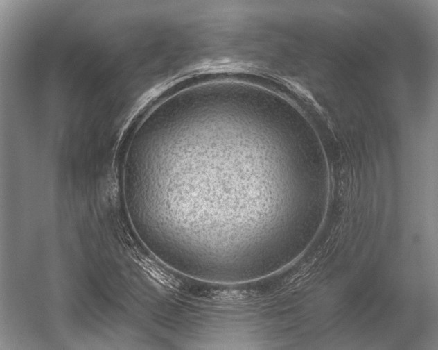 X0000059221167200510171416