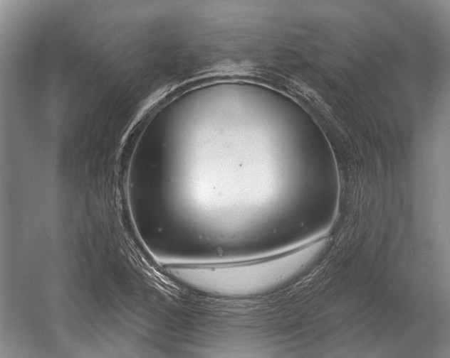 X0000059221168200510171415