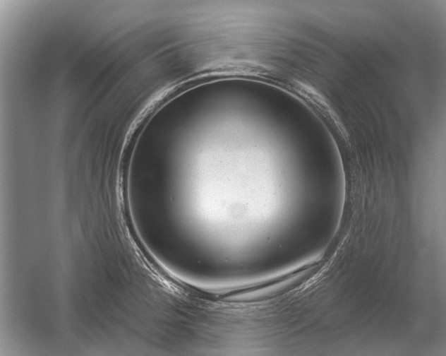 X0000059221188200510171415