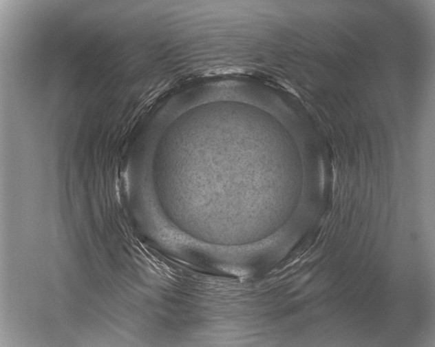 X0000059221202200510171414