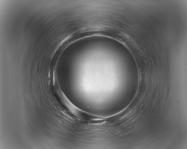 X0000059221210200510171414