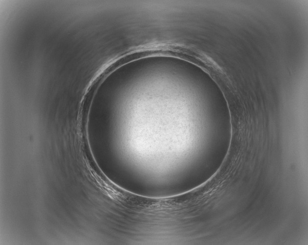 X0000059221216200510171414