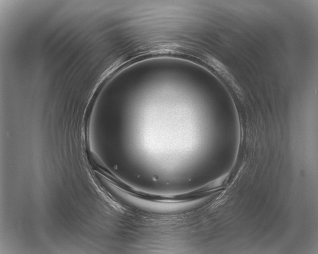 X0000059221234200510171415