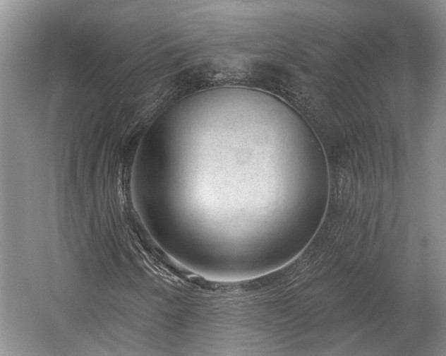 X0000059221250200510171414