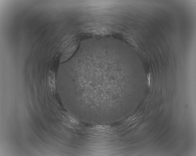 X0000059221251200510171414