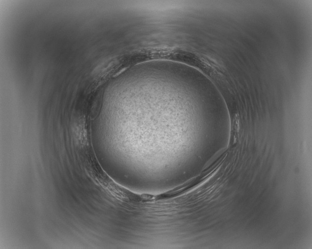 X0000059221252200510171414