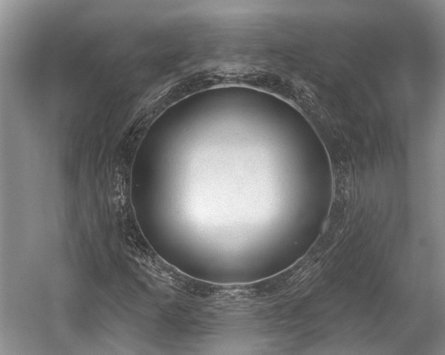 X0000059221253200510171414
