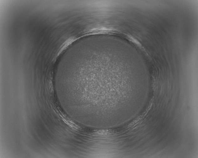 X0000059221259200510171414
