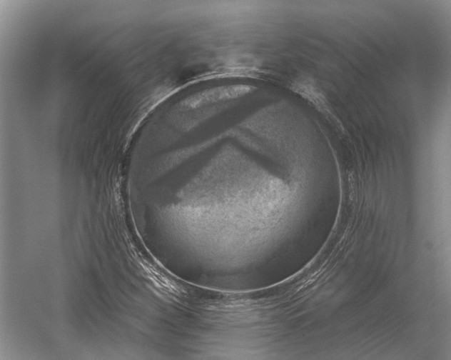 X0000059221260200510171414