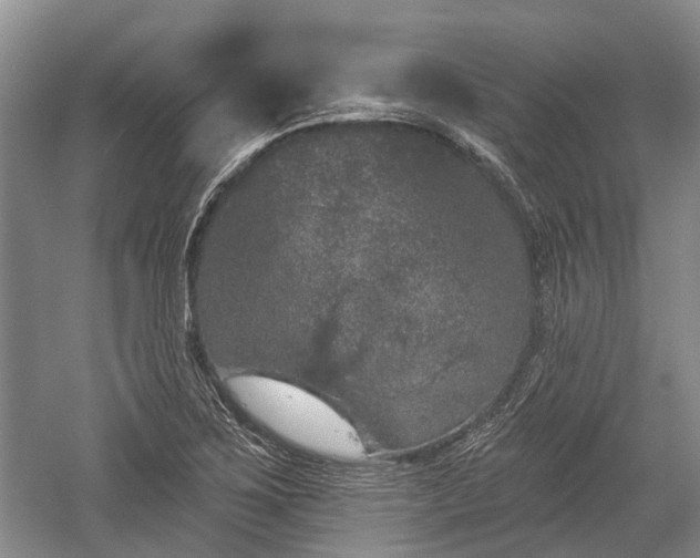 X0000059221267200510171414