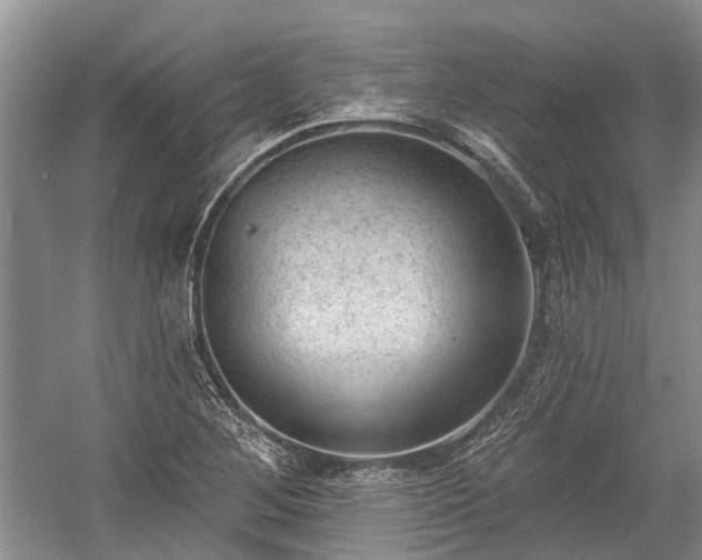 X0000059221268200510171414