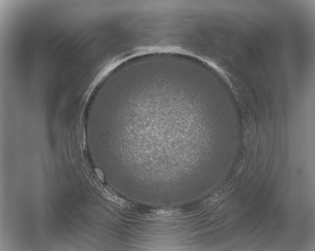 X0000059221271200510171414
